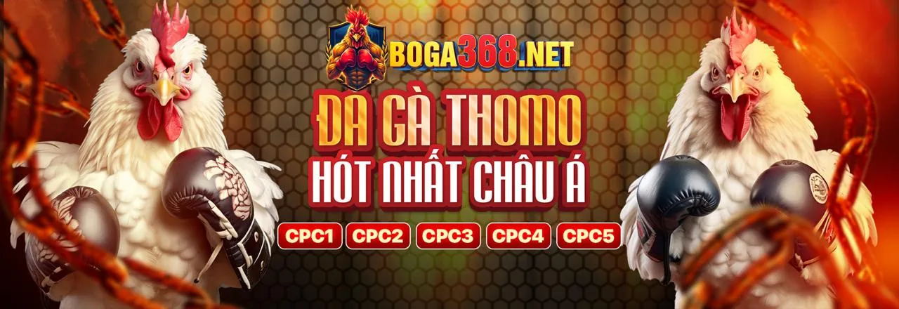 Đá gà hi88vip8 link vào, gà chiến trên sân đấu